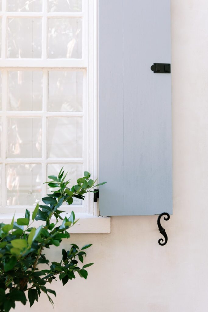 Sales Page – Sue Rasmussen